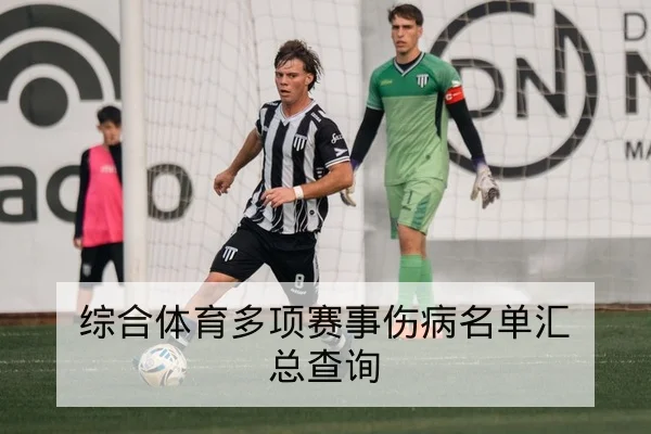 综合体育多项赛事伤病名单汇总查询
